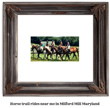 horse trail rides near me in Milford Mill, Maryland